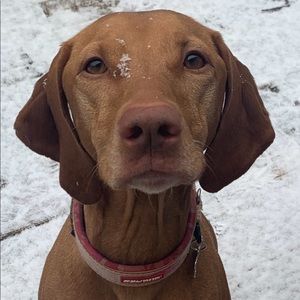 Meet your Posher, Sandra